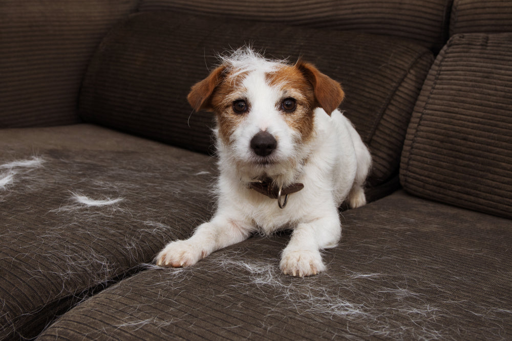 Sick of your couch looking like this?