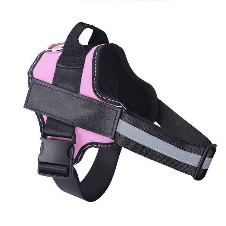 Dog Harness